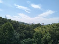 -紫金山山顶公园