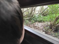 -日出青木·杭帮菜名店