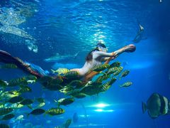 -太平洋海底世界