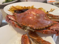 -船歌·鱼水饺青岛菜(石老人店)