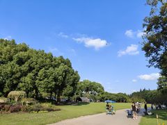 -上海滨江森林公园
