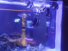 -上和臻品中国菜(花园街店)