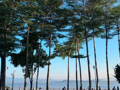 -深圳湾公园(南山区)