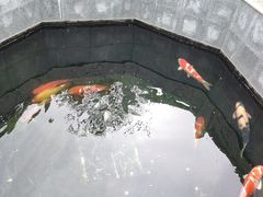 -西安市广仁寺