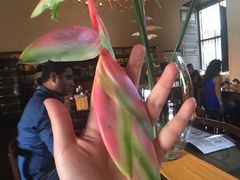 大堂-Ministry of Crab(科伦坡店)