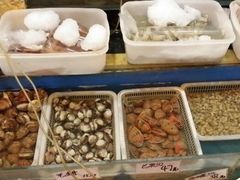 各种贝类-胶东海鲜大排档(北太平庄店)