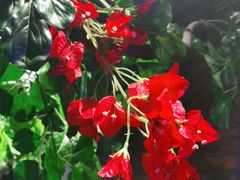 -湘邻呷铺·田园家宴(汉基广场店)