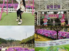 -盈香心动乐园