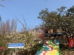 -桃源山庄·水蜜桃采摘·柴火鸡·烧烤团建(龙泉山店)