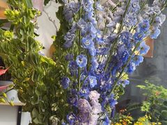 -FEI FEI FLOWER鲜花店·气球派对·宝宝宴布置(虹口德必运动Loft店)