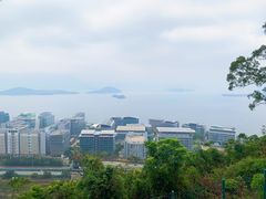 -大埔公路-马料水段香港中文大学(公交站)