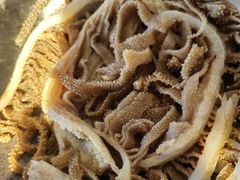 -重庆九记老火锅(广场店)