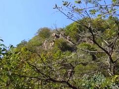 -府君山公园