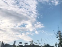 -世界恐龙谷景区