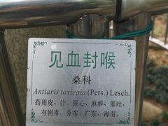 -广州神农草堂中医药博物馆