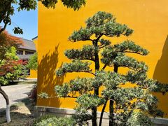 -重元寺香积厨素斋馆