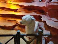 -酷嗒动物文化乐园(cutezoo西溪乐天城店)