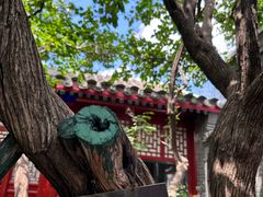 -北京鲁迅博物馆(北京新文化运动纪念馆鲁博馆区)