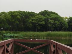 -金银湖国家城市湿地公园