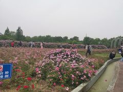 -尚贤河湿地