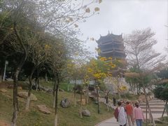 -八仙山公园