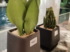 -TRACTION 运动中心(金融街店)