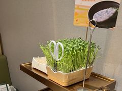 -海底捞火锅(天通苑华联店)