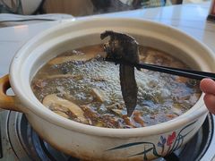 -蘑统田下·野生菌火锅