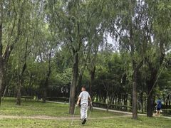 -洨河生态公园