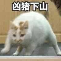 -惠爱餐厅