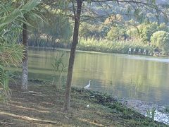 -长广溪湿地公园