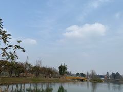 -白鹭湾湿地公园