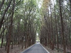 -同里国家湿地公园