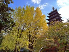 -常熟方塔园