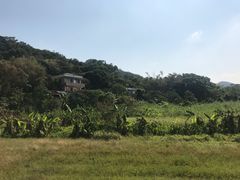 -南丫岛