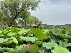 -承德避暑山庄景区