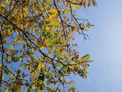 -湖洞水自然风景区