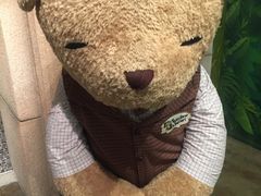 -济州岛泰迪熊博物馆