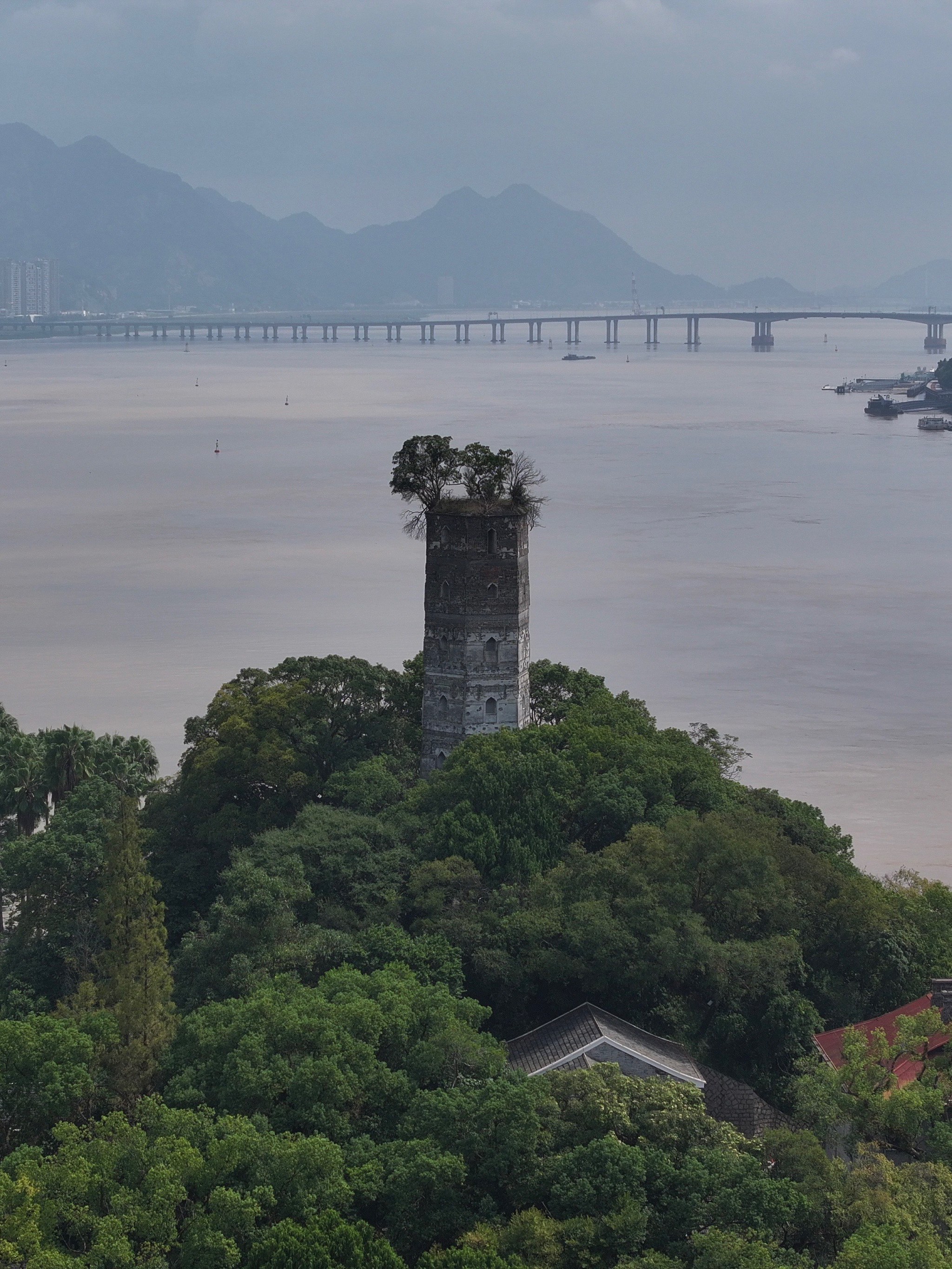 温州半日游最佳景点图片