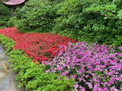 -庐山风景区花径公园