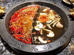菌汤鸳鸯锅底-蜀大侠火锅(四川北路店)