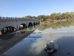 -昆山城市生态森林公园