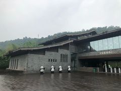 -都江堰中华大熊猫苑