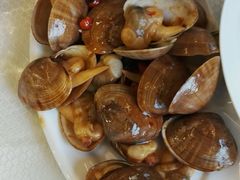 辣炒黄蚬子-渔娘渔家丹东海鲜(东直门店)