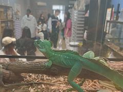 -小树照相馆·证件照(打浦桥店)