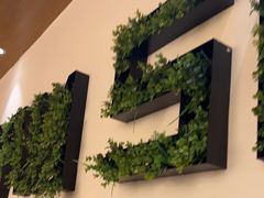 -管氏翅吧(国展店)