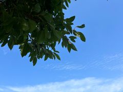 -雅达·阳羡溪山小镇中心