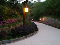 android_upload_pic-南京汤山紫清湖生态旅游温泉度假区