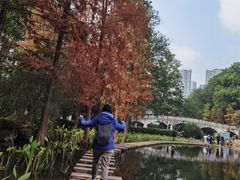 -重庆彩云湖湿地公园