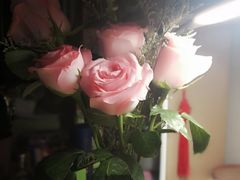 -简单花艺(宝龙万象店)